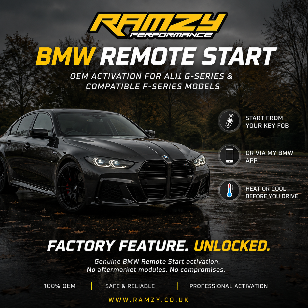 BMW Remote Start Activation